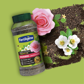 Fertiligène engrais longue durée  premium rosiers et arbustes à fleurs image 2