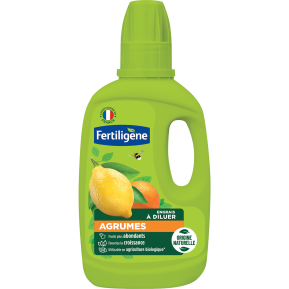 Fertiligène engrais agrumes main image