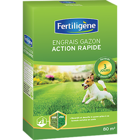 Fertiligène engrais gazon action rapide main image