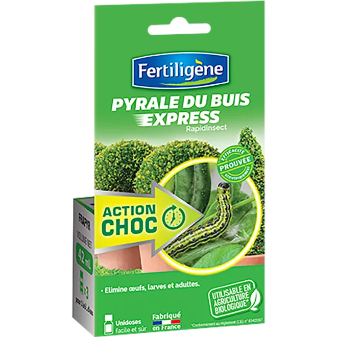 Fertiligène pyrale du buis Rapidinsect main image