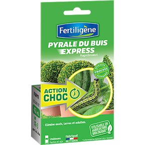 Fertiligène pyrale du buis Rapidinsect main image