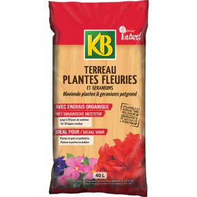 KB terreau plantes fleuries et géraniums image 2