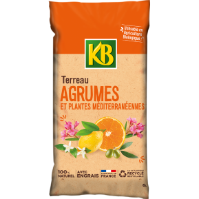 KB Terreau agrumes plantes méditerranéennes main image