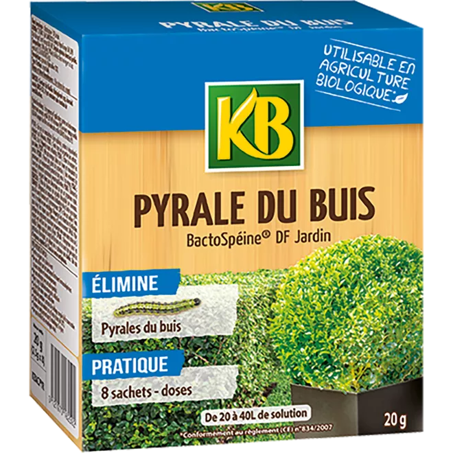 KB pyrale du buis main image