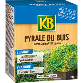 KB pyrale du buis main image