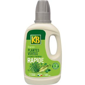 KB engrais rapide plantes vertes et plantes d'intérieur main image