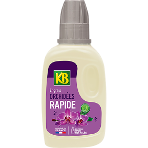 KB engrais rapide orchidées main image