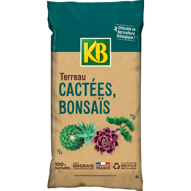 KB terreau cactées bonsaïs et plantes grasses main image