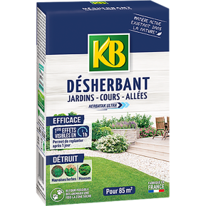 KB désherbant jardins, cours, allées concentré main image