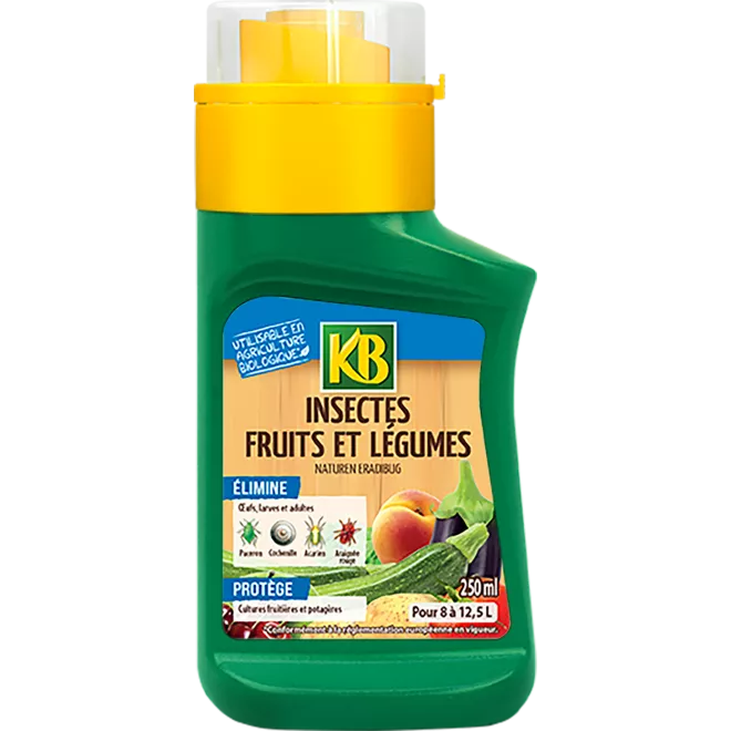 KB insectes fruits et légumes concentré main image