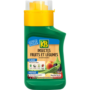 KB insectes fruits et légumes concentré main image
