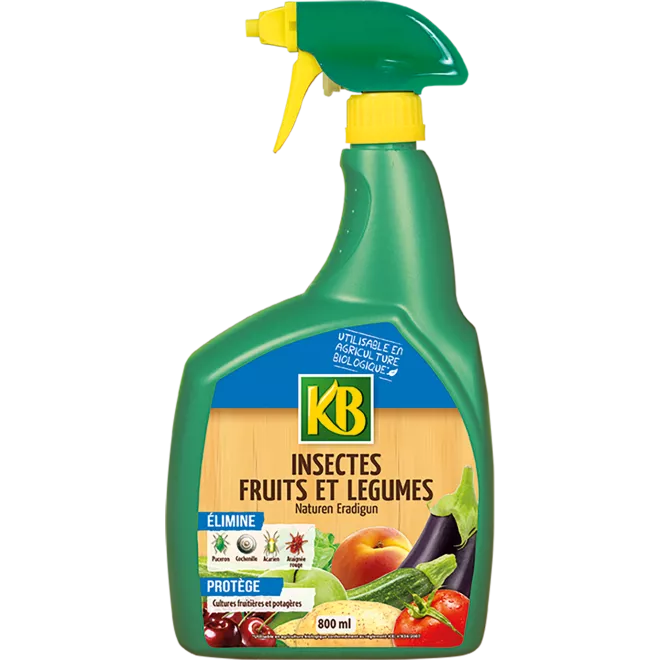 KB insectes fruits et légumes prêt à l'emploi main image
