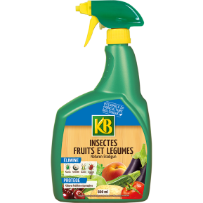 KB insectes fruits et légumes prêt à l'emploi main image