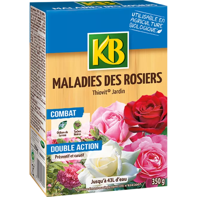 KB maladies des rosiers main image