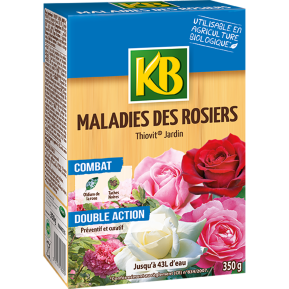 KB maladies des rosiers main image