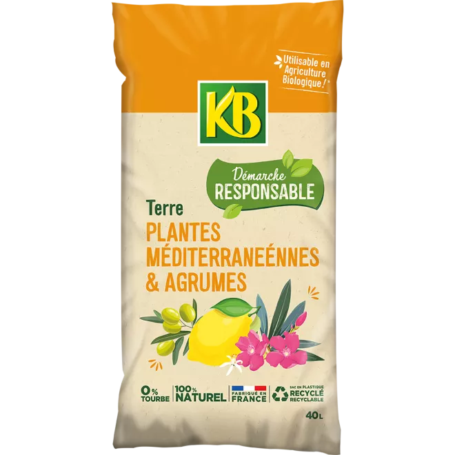 KB Terre plantes méditerranéennes et agrumes responsable main image