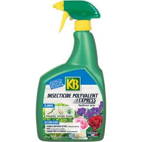 KB insecticide polyvalent express prêt à l'emploi main image