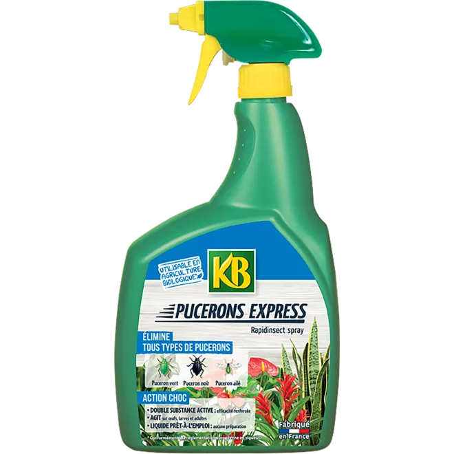 KB insecticide pucerons express prêt à l'emploi main image