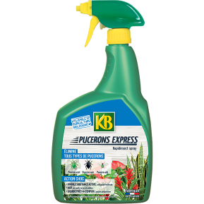 KB insecticide pucerons express prêt à l'emploi main image