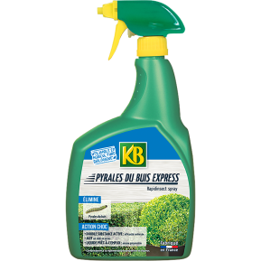 KB insecticide pyrales du buis express prêt à l'emploi main image
