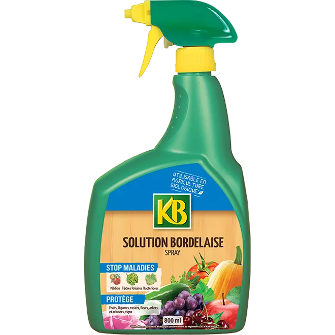 KB solution bordelaise  main image