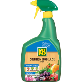 KB solution bordelaise  main image