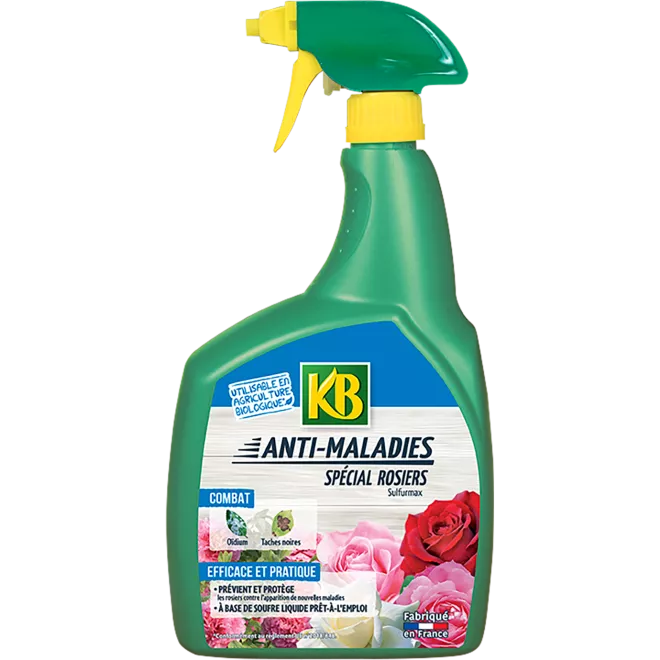 KB anti maladies spécial rosiers main image