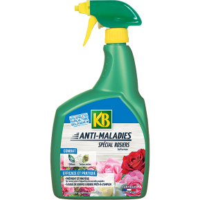 KB anti maladies spécial rosiers main image