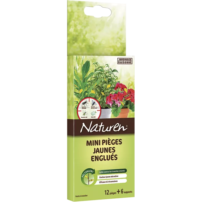 Naturen® Mini-pièges jaunes pour plantes de la maison et balconnières main image