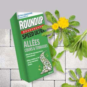 Roundup® désherbant cours, allées et terrasses action 2 en 1 image 2