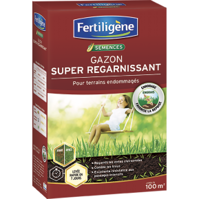 Fertiligène semences gazon super regarnissant main image