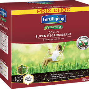 Fertiligène semences gazon super regarnissant main image