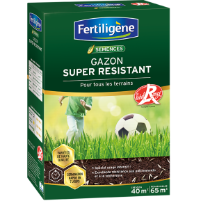 Fertiligène semences gazon super résistant main image