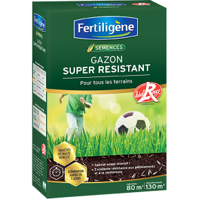 Fertiligène semences gazon super résistant main image