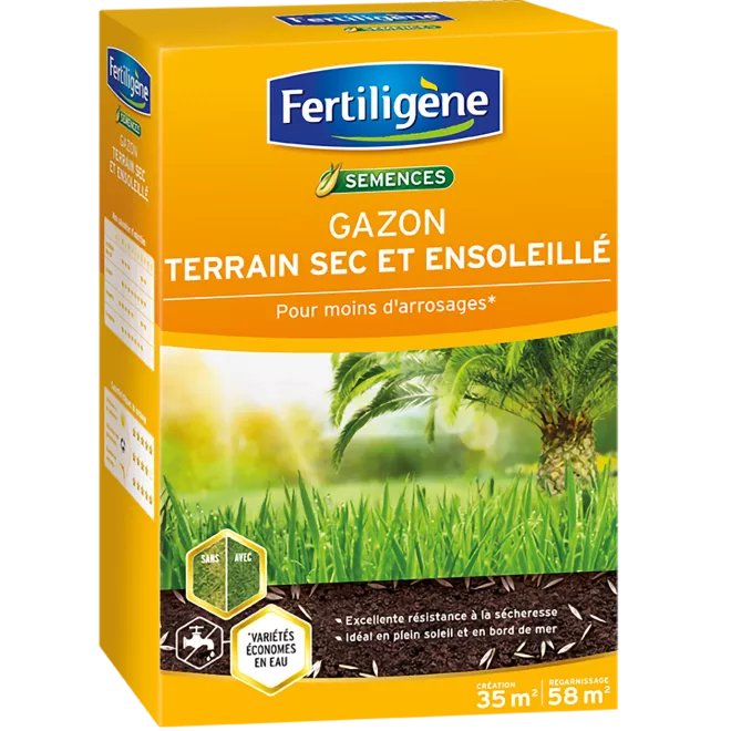 Fertiligène semences gazon terrain sec et ensoleillé main image