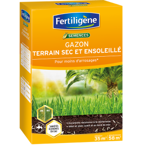 Fertiligène semences gazon terrain sec et ensoleillé main image