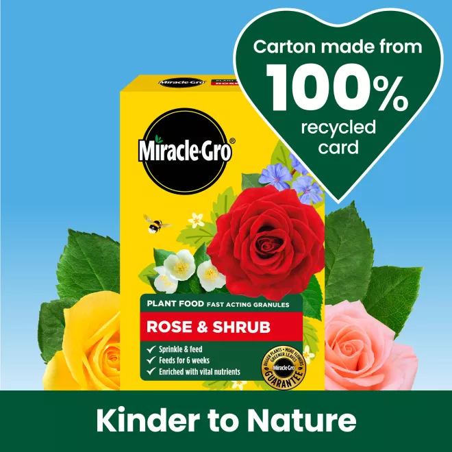 Miracle-Gro® Plant Food Fast Acting Granules - Rose & Shrub image 5