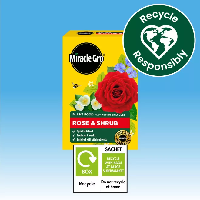 Miracle-Gro® Plant Food Fast Acting Granules - Rose & Shrub image 6