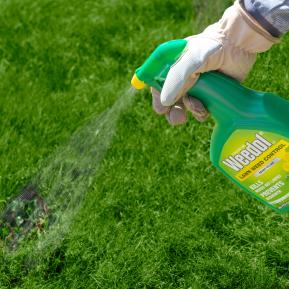 Weedol® LN Lawn Weed Control (Ready to Use) image 3