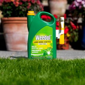 Weedol® LN Lawn Weed Control (Ready to Use) image 2