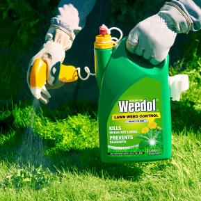 Weedol® LN Lawn Weed Control (Ready to Use) image 3