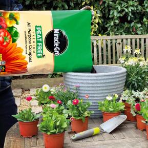 Miracle-Gro® Peat Free Premium All Purpose Compost With Organic Plant Food image 2