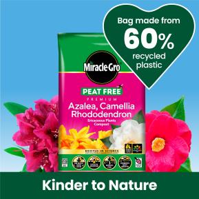 Miracle-Gro® Peat Free Premium Azalea, Camellia & Rhododendron Ericaceous Compost image 6