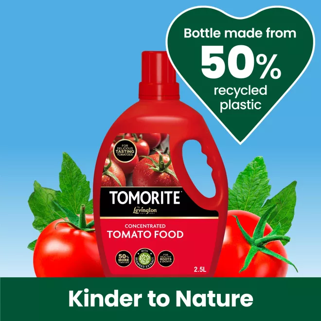 Levington® Tomorite® Concentrated Tomato Food image 3