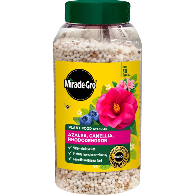 Miracle-Gro® Plant Food Granules - Azalea, Camellia, Rhododendron main image