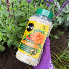 Miracle-Gro® Plant Food Granules - All Purpose image 2