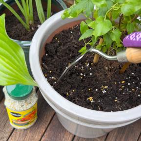 Miracle-Gro® Plant Food Granules - All Purpose image 4