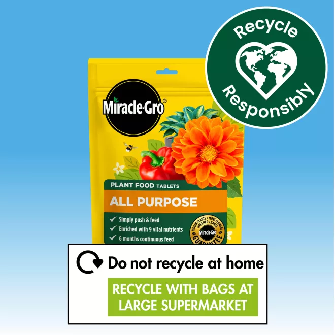 Miracle-Gro® Plant Food Tablets - All Purpose image 4