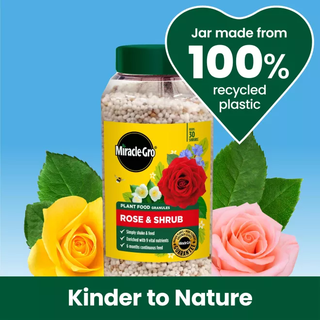 Miracle-Gro® Plant Food Granules - Rose & Shrub image 5