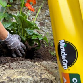 Miracle-Gro® Compost - All Purpose image 3